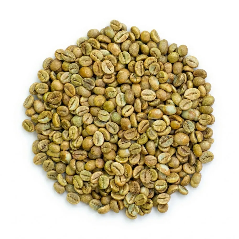 Robusta Yellow Honey - Phương pháp chế biến mật ong vàng