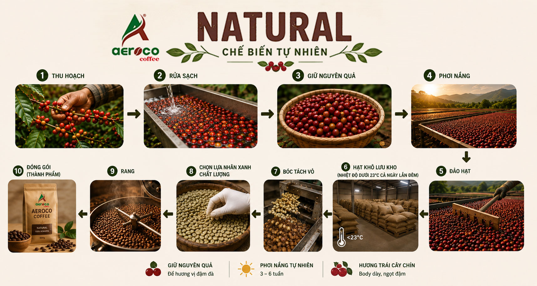 Quy trình Natural không chỉ là phơi nguyên quả dưới nắng mà còn bao gồm các bước kiểm soát sau thu hoạch như lưu kho hạt khô, bóc tách vỏ, tuyển chọn nhân xanh, rang và đóng gói. Mỗi công đoạn đều góp phần bảo toàn hương vị trái cây chín, vị ngọt tự nhiên và body dày đặc trưng của cà phê Natural.