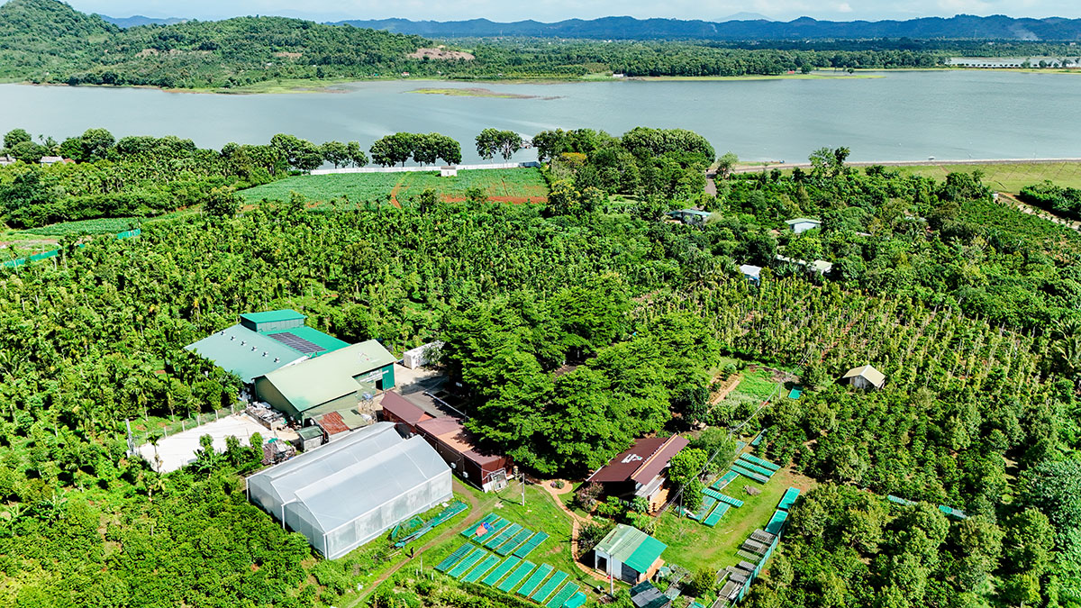 Nông trại Aeroco rộng 9 ha bên hồ Ea Kao được quy hoạch theo mô hình đa tầng sinh thái, gồm tầng cây che phủ, tầng tán trung gian, tầng cà phê và tầng mặt đất.