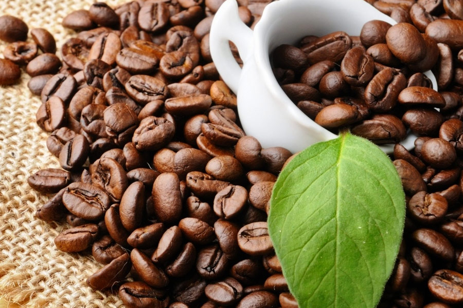 Cà phê tác dụng và ảnh hưởng tới sức khỏe như thế nào là mối quan tâm được con người