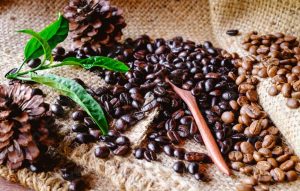 Những ưu điểm vượt trội của cà phê hữu cơ có thể bạn chưa biết