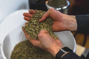 Các hệ thống phân loại cà phê cơ bản