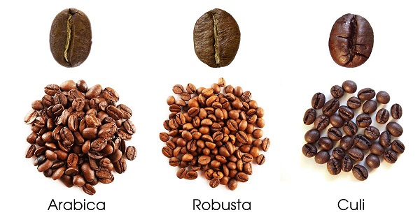 Cà phê hạt loại nào ngon nhất hiện nay?