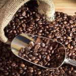 Ăn hạt cà phê liệu có an toàn cho sức khỏe hay không?