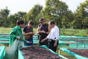 Hướng đến nền nông nghiệp sinh thái công nghệ cao và đa giá trị