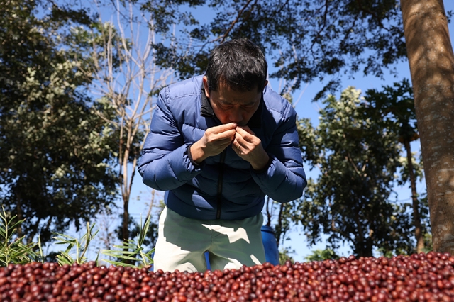 Efforts to turn Buôn Ma Thuột into global hub for speciality coffees