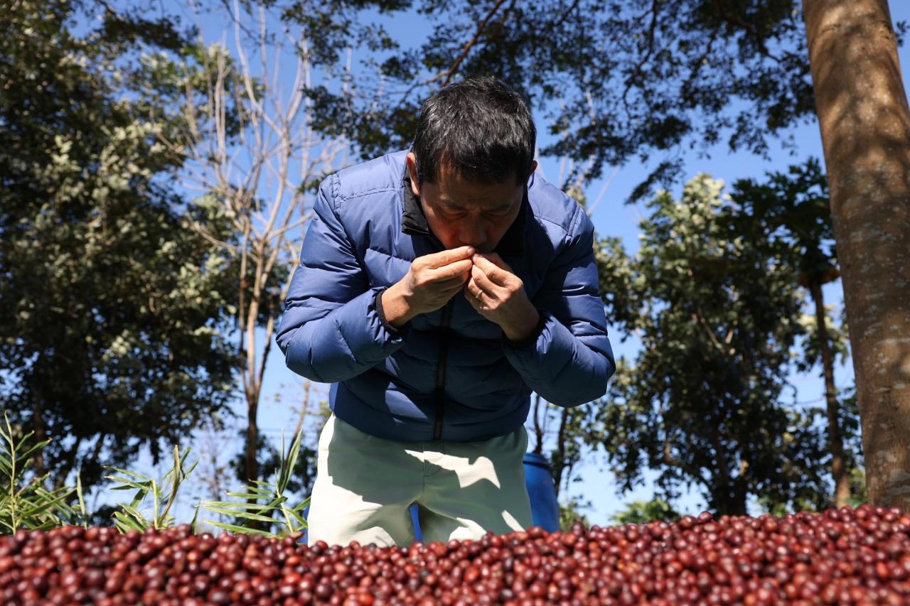 Ông Lê Đình Tư, chủ trang trại Aeroco Coffee ở thành phố Buôn Ma Thuột kiểm tra chất lượng cà phê đặc sản. Ảnh: Tuấn Anh