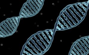 Gen của bạn có ảnh hưởng đến lượng cà phê cơ thể hấp thu không?