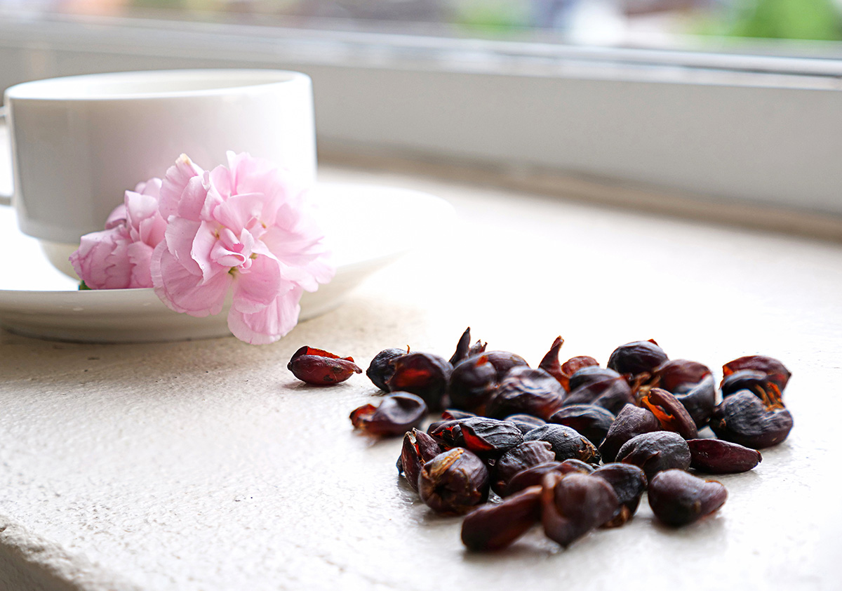 Cách thưởng thức Cascara: Nguồn gốc, cách pha chế đến những lợi ích sức khỏe Cách thưởng thức Cascara: Nguồn gốc, cách pha chế đến những lợi ích sức khỏe