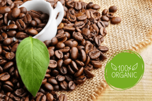 Khám phá cà phê hữu cơ là gì? Cà phê hữu cơ được trồng như thế nào?