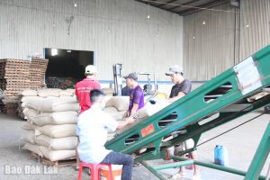 Ngành hàng cà phê trước viễn cảnh thuế đối ứng từ Hoa Kỳ: Sẵn sàng thích ứng