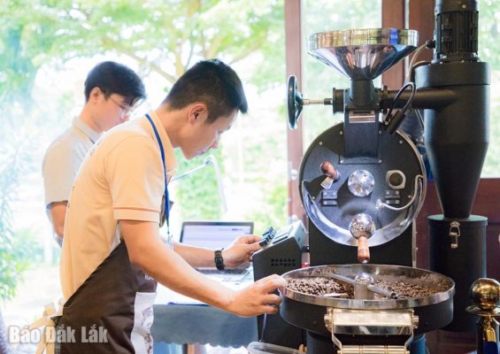 Ngành cà phê thiếu hụt nhân lực chất lượng cao Ngành cà phê thiếu hụt nhân lực chất lượng cao