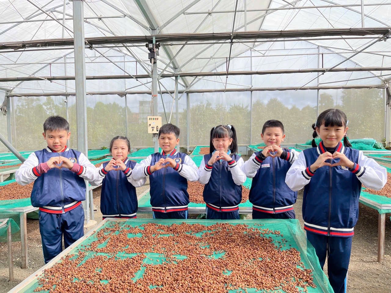 Buổi học đặc biệt của học sinh Đắk Lắk giữa mùa cà phê chín