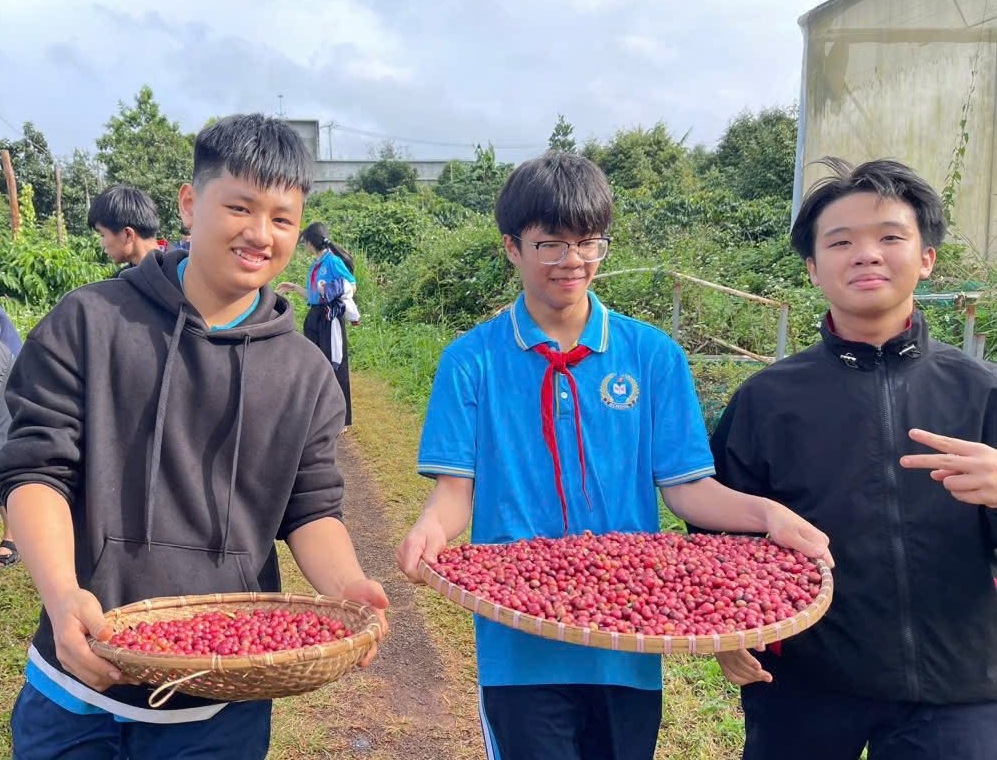 Buổi học đặc biệt của học sinh Đắk Lắk giữa mùa cà phê chín