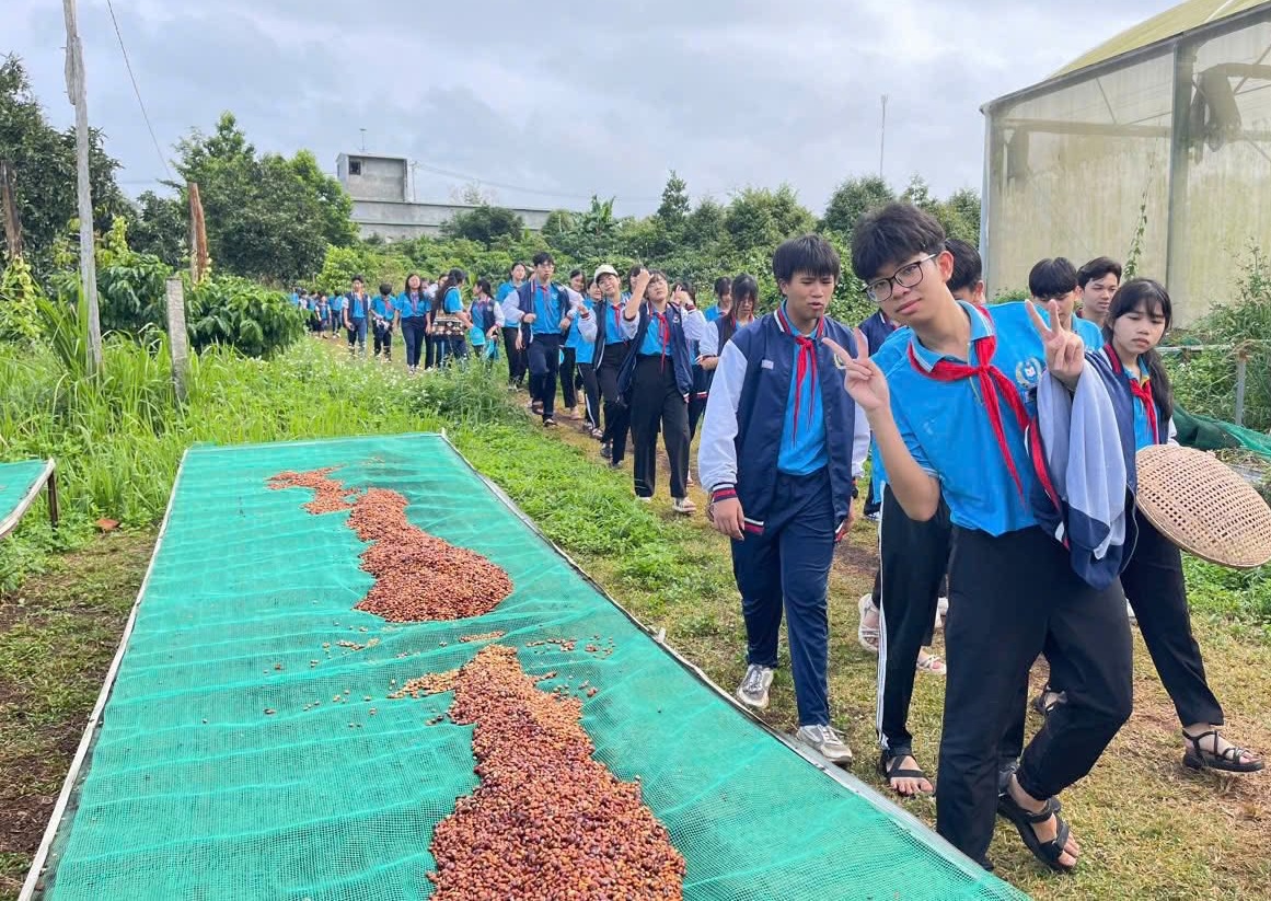 Buổi học đặc biệt của học sinh Đắk Lắk giữa mùa cà phê chín
