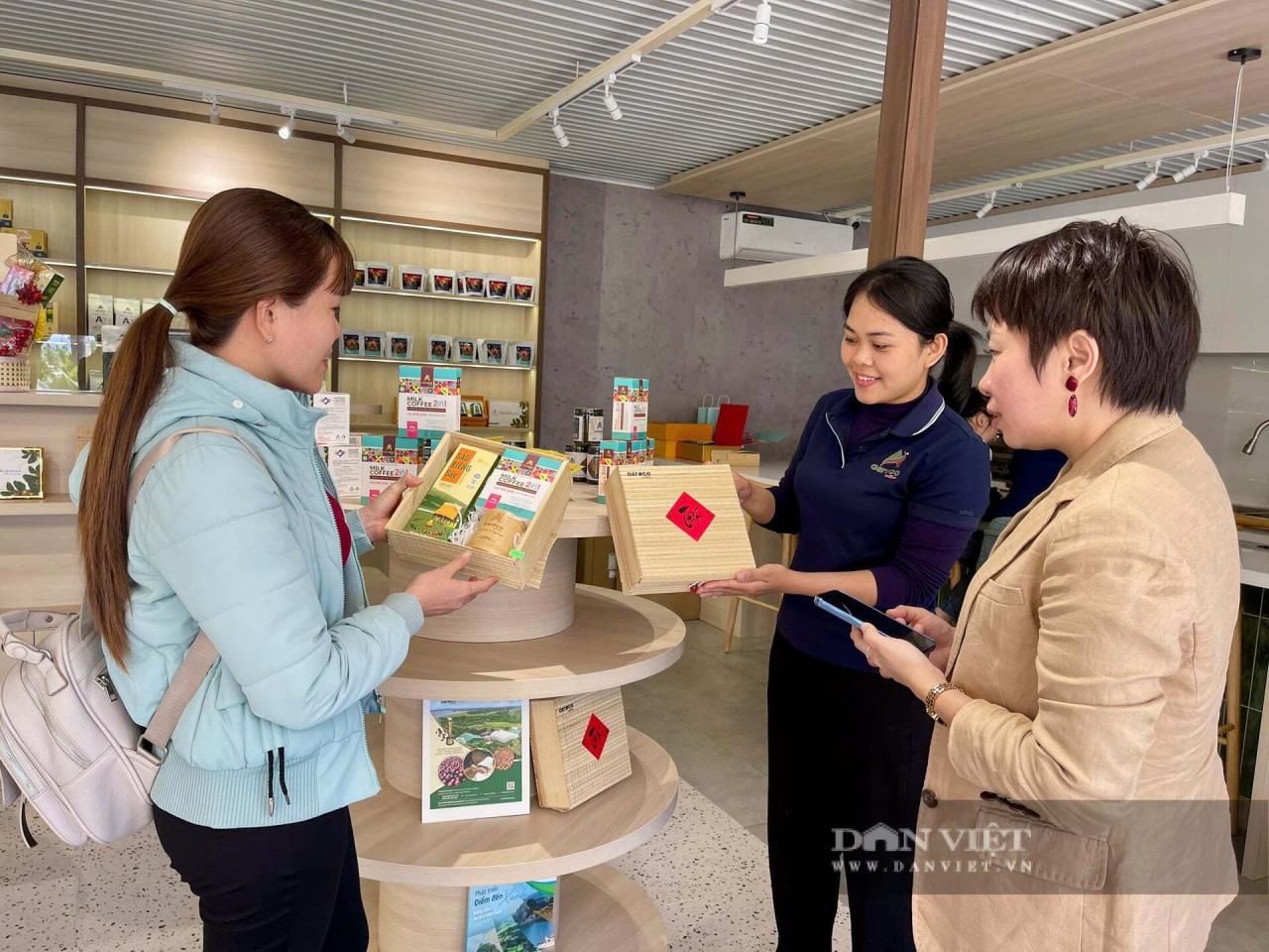 Mùa hoa cà phê ở Đắk Lắk đẹp như phim tại trang trại Aeroco