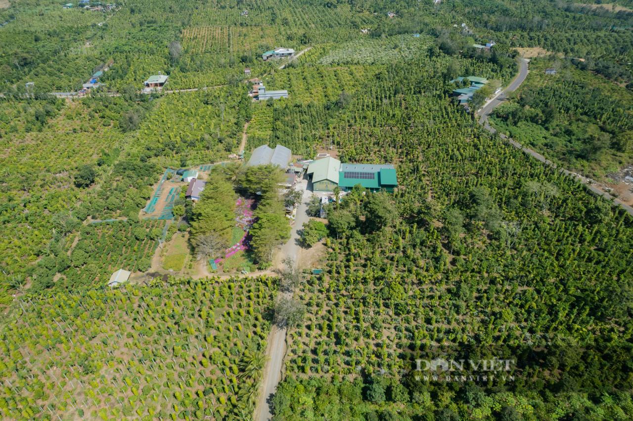 Mùa hoa cà phê ở Đắk Lắk đẹp như phim tại trang trại Aeroco