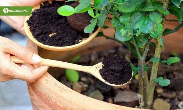 Lưu bản nháp tự động Lưu bản nháp tự động