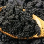 Lưu bản nháp tự động