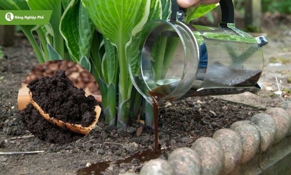 Lưu bản nháp tự động Lưu bản nháp tự động