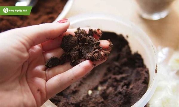 Lưu bản nháp tự động Lưu bản nháp tự động